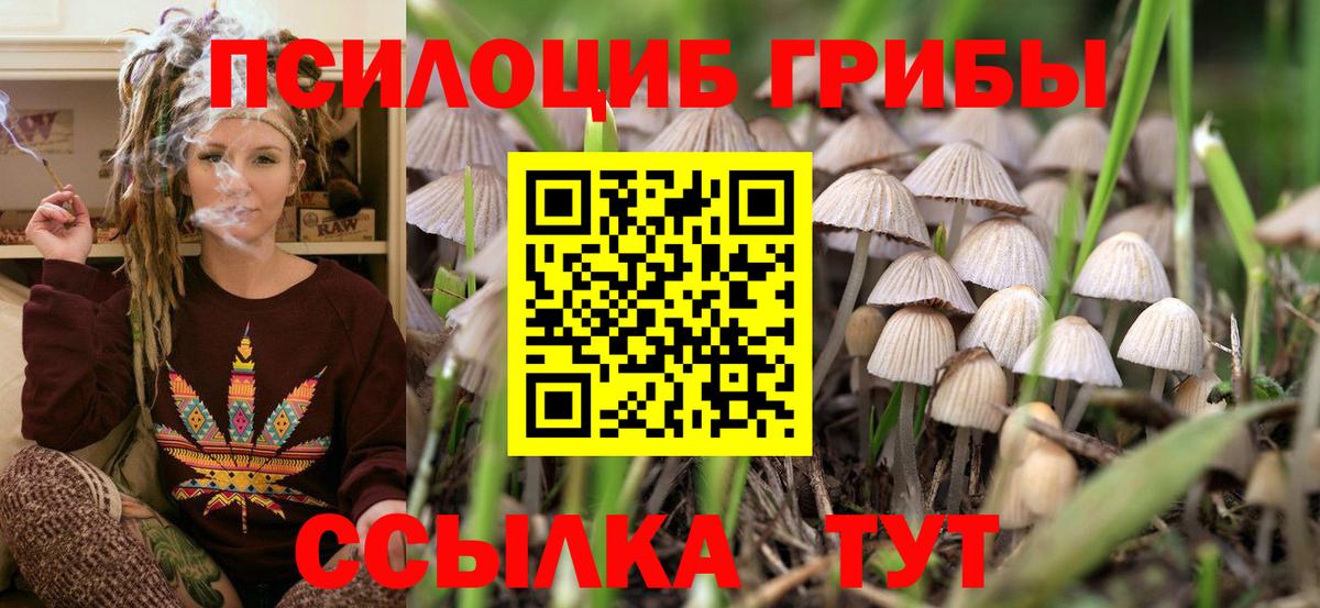Галлюциногенные грибы Psilocybine cubensis  Вход с VPN  Галлюциногенные грибы Magic Shrooms  Тосно 