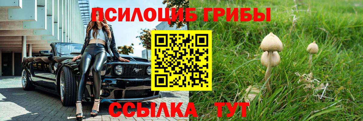 Галлюциногенные грибы Psilocybine cubensis Тосно